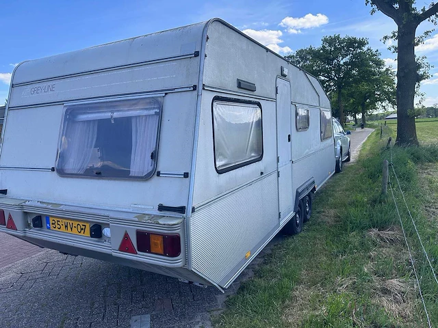 Kip - grey-line - kg 650 tlb - 35-wv-07 - afbeelding 15 van  19