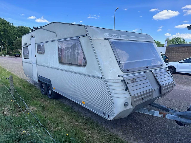 Kip - grey-line - kg 650 tlb - 35-wv-07 - afbeelding 17 van  19