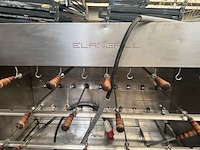 Kippengrill elangrill - afbeelding 4 van  6
