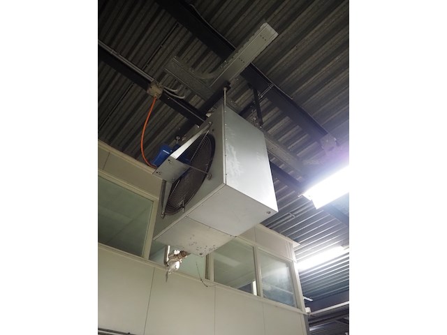 Kiwi hesta - afbeelding 2 van  13