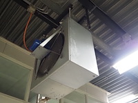 Kiwi hesta - afbeelding 2 van  13