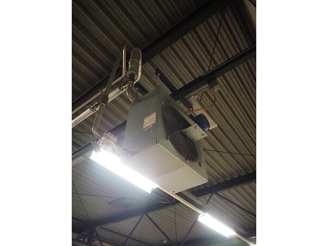 Kiwi hesta - afbeelding 3 van  13