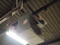 Kiwi hesta - afbeelding 3 van  13