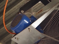 Kiwi hesta - afbeelding 4 van  13