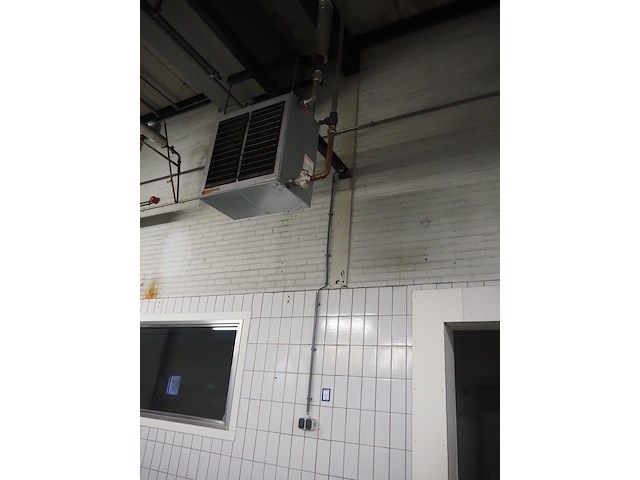 Kiwi hesta - afbeelding 1 van  13