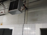 Kiwi hesta - afbeelding 1 van  13