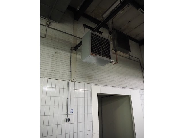 Kiwi hesta - afbeelding 6 van  13