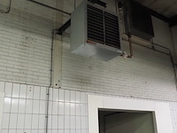 Kiwi hesta - afbeelding 6 van  13