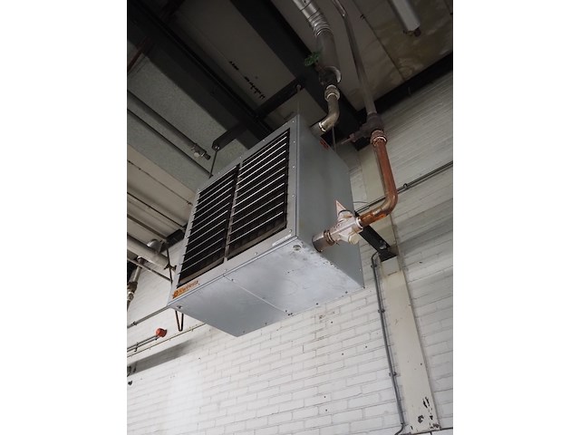 Kiwi hesta - afbeelding 7 van  13