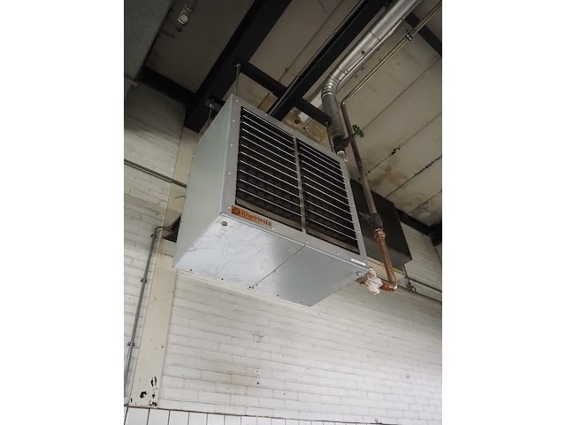 Kiwi hesta - afbeelding 8 van  13