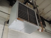 Kiwi hesta - afbeelding 8 van  13