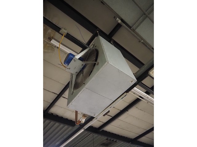 Kiwi hesta - afbeelding 9 van  13