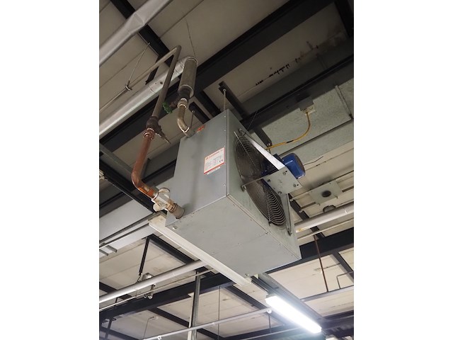 Kiwi hesta - afbeelding 10 van  13