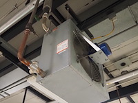 Kiwi hesta - afbeelding 10 van  13