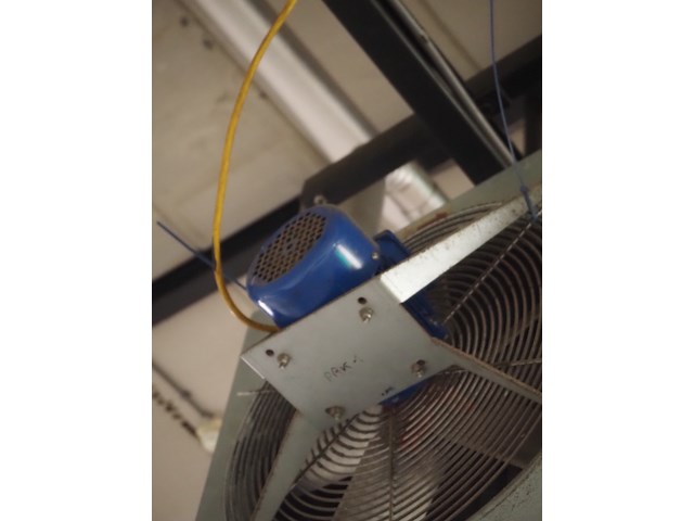 Kiwi hesta - afbeelding 11 van  13