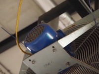 Kiwi hesta - afbeelding 11 van  13