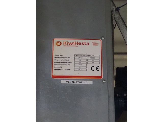 Kiwi hesta - afbeelding 12 van  13