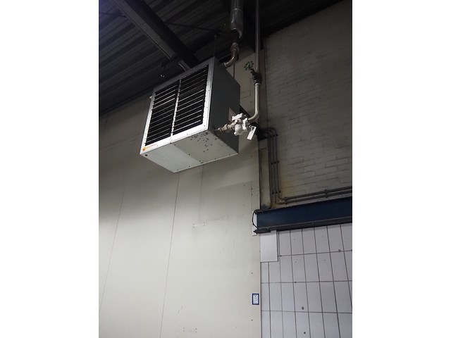 Kiwi hesta - afbeelding 13 van  13