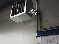 Kiwi hesta - afbeelding 13 van  13