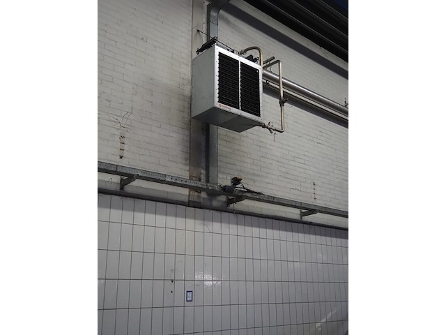 Kiwi hesta - afbeelding 1 van  7