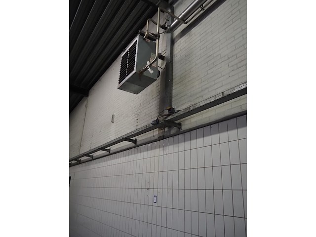 Kiwi hesta - afbeelding 2 van  7