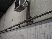 Kiwi hesta - afbeelding 2 van  7