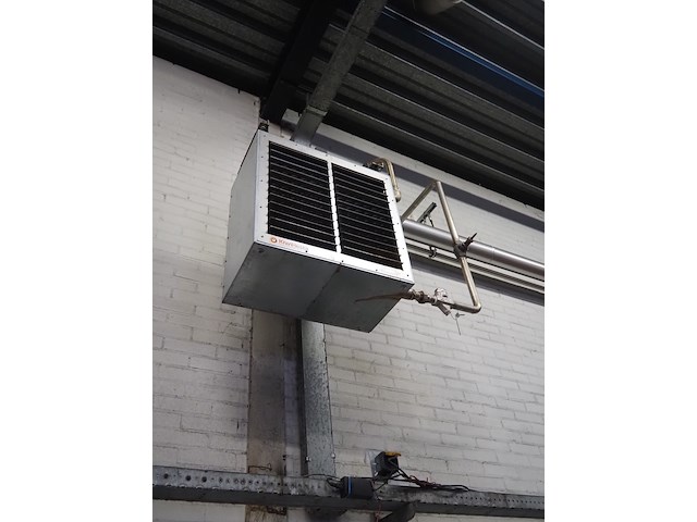 Kiwi hesta - afbeelding 3 van  7