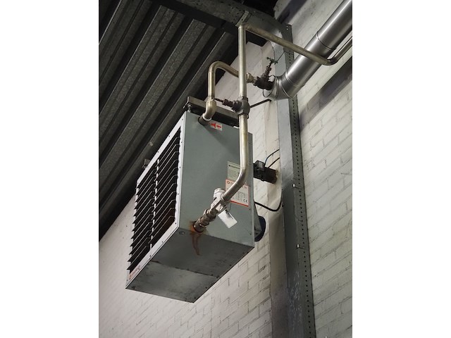 Kiwi hesta - afbeelding 4 van  7