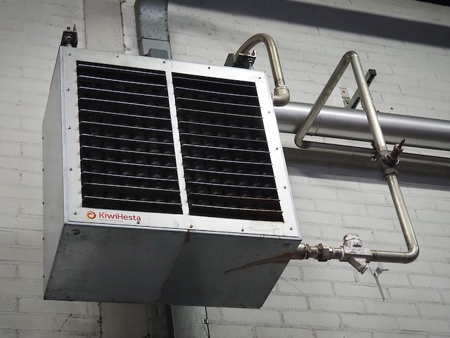 Kiwi hesta - afbeelding 5 van  7