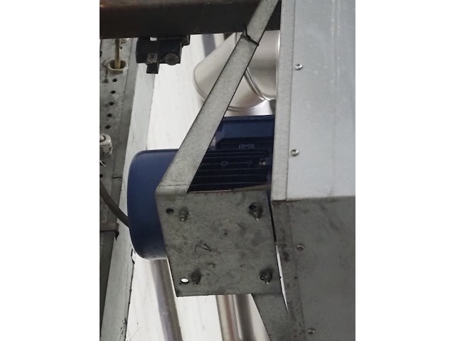 Kiwi hesta - afbeelding 6 van  7