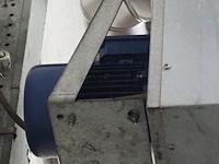 Kiwi hesta - afbeelding 6 van  7