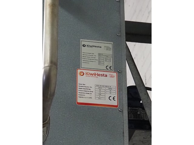 Kiwi hesta - afbeelding 7 van  7