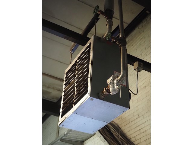 Kiwi hesta - afbeelding 2 van  5