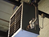 Kiwi hesta - afbeelding 2 van  5