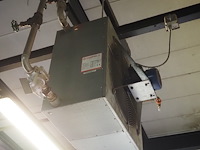 Kiwi hesta - afbeelding 3 van  5