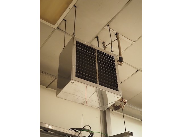 Kiwi hesta - afbeelding 2 van  5