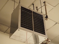 Kiwi hesta - afbeelding 2 van  5