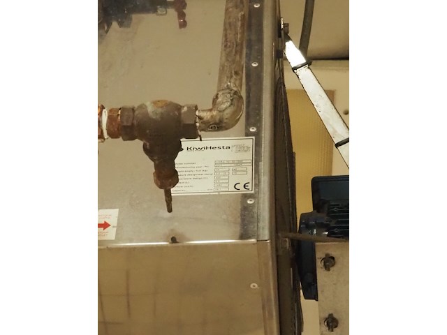 Kiwi hesta - afbeelding 5 van  5