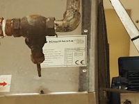 Kiwi hesta - afbeelding 5 van  5