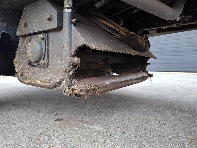 Klepelmaaier, roberine, f3, 2019 - afbeelding 15 van  33