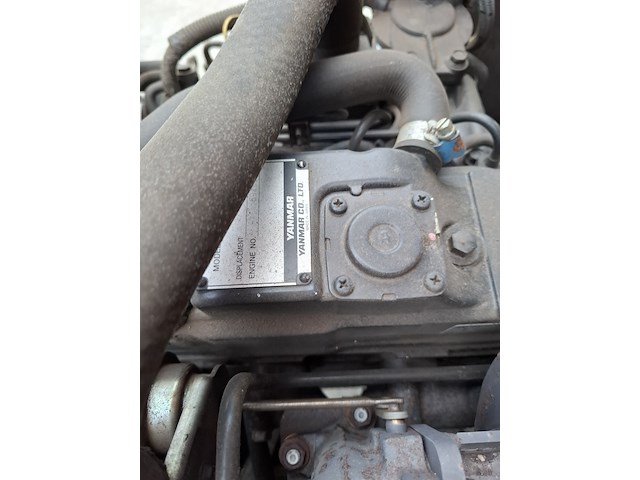 Klepelmaaier, roberine, f3, 2019 - afbeelding 19 van  33