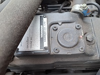 Klepelmaaier, roberine, f3, 2019 - afbeelding 19 van  33