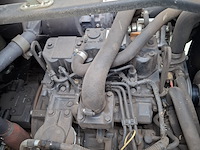 Klepelmaaier, roberine, f3, 2019 - afbeelding 20 van  33