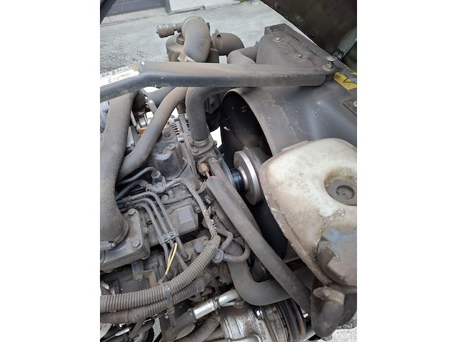 Klepelmaaier, roberine, f3, 2019 - afbeelding 22 van  33