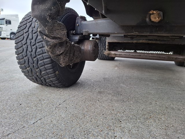 Klepelmaaier, roberine, f3, 2019 - afbeelding 25 van  33