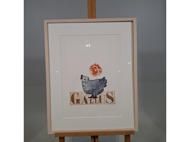 Kleuren ets, els maasson, gallus 11/20, 1998 - afbeelding 1 van  9