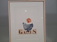 Kleuren ets, els maasson, gallus 11/20, 1998 - afbeelding 1 van  9