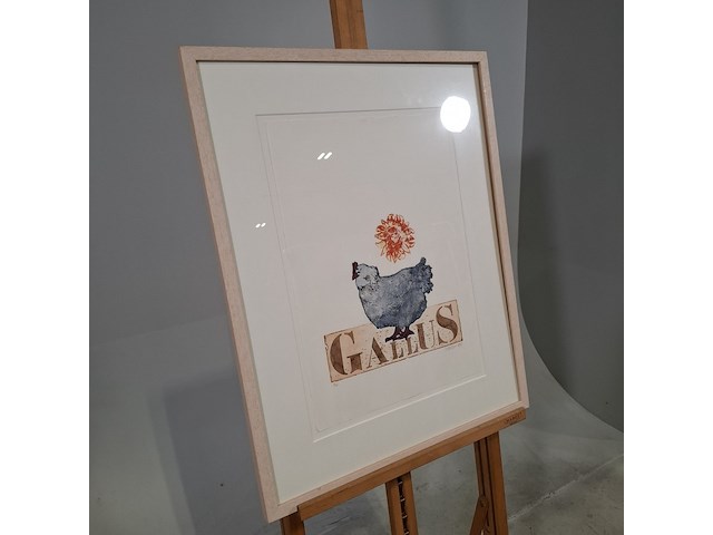 Kleuren ets, els maasson, gallus 11/20, 1998 - afbeelding 2 van  9