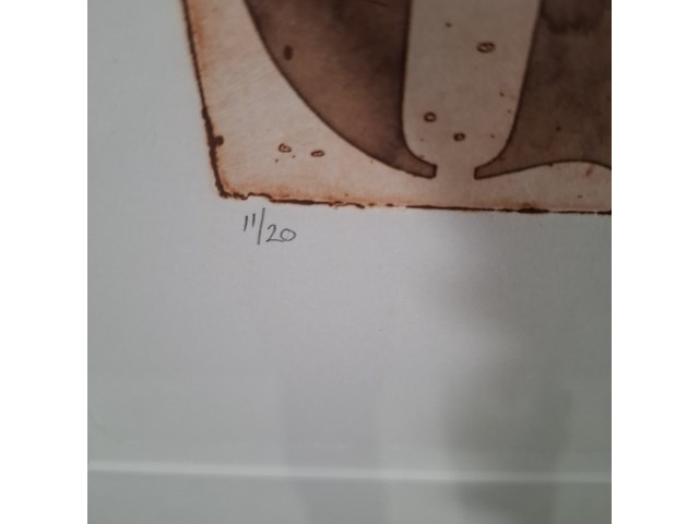 Kleuren ets, els maasson, gallus 11/20, 1998 - afbeelding 5 van  9