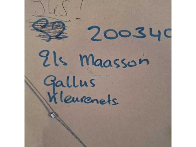 Kleuren ets, els maasson, gallus 11/20, 1998 - afbeelding 8 van  9